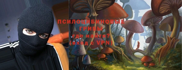 дурь Алексин