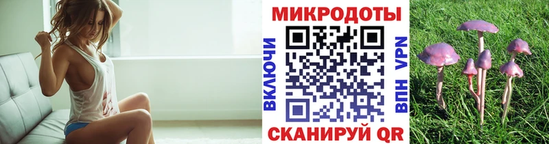 купить  цена  Сусуман  Псилоцибиновые грибы Psilocybine cubensis 